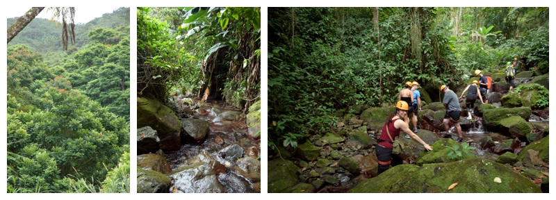 Puerto Rico-Rainforest-Photography-Adventure-Boudoir.jpg